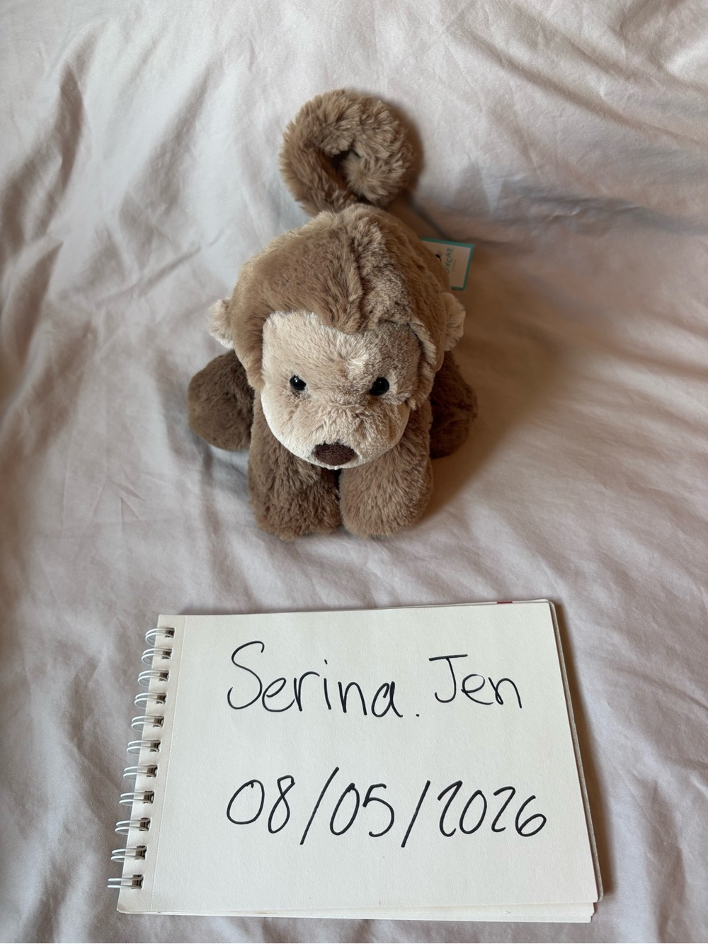 Jellycat smudge monkey